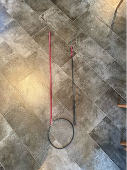 Pole spear