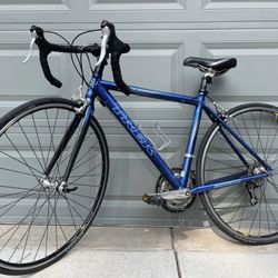 Trek 1000 Road Bike (Size S)
