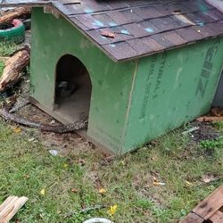 Dog House 