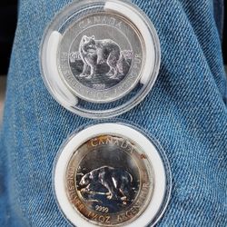 Silver Coin