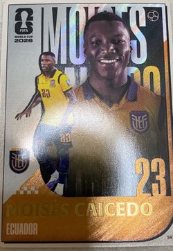 2026 World Cup Panini Card Caicedo