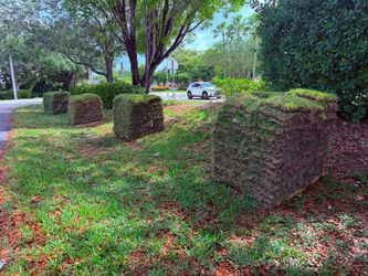 🚚 Fresh Sod Delivered to Your Door