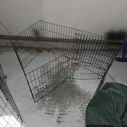 Dog Cage
