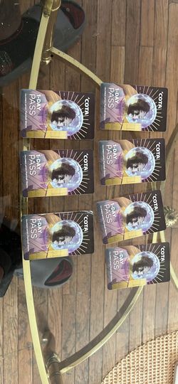 Bus passes