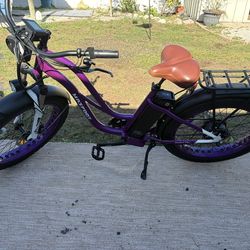 Maxfoot E-Bikes