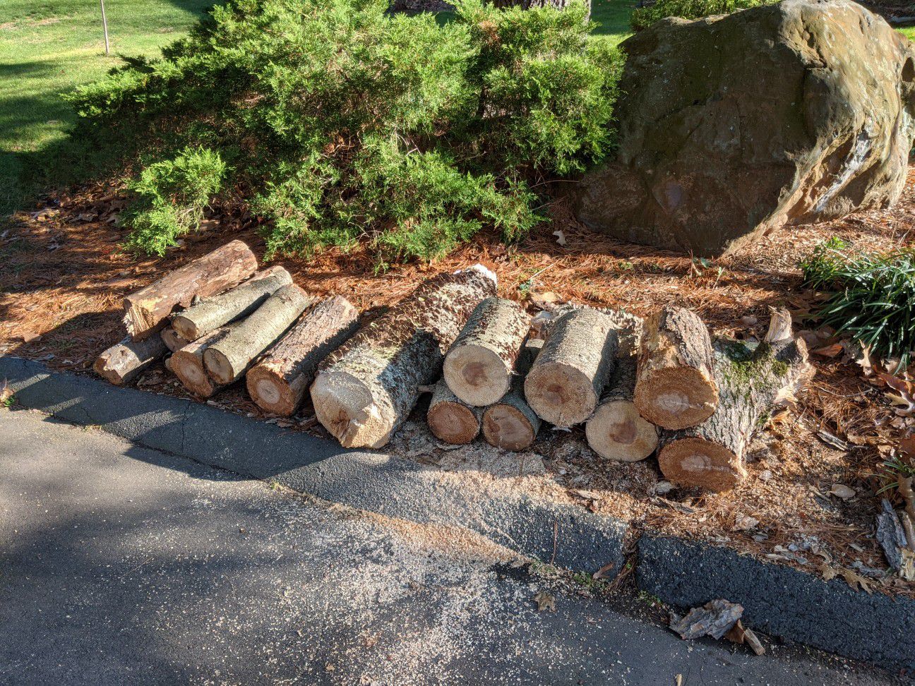 Free wood for firewood.