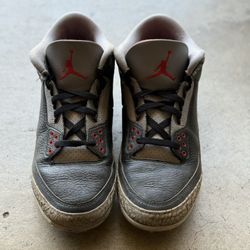 Nike Jordan 3 Cleats