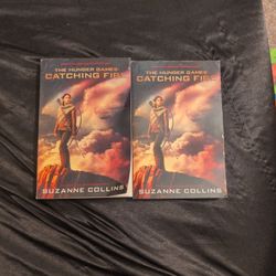 Hunger Games Duplicates 