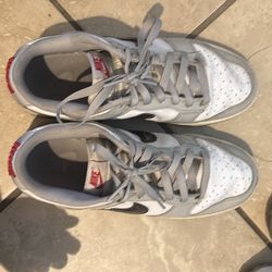 Light Iron Ore Nike Dunks