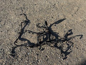 Engine wire harness 2007 Toyota Camry LE wires wiring