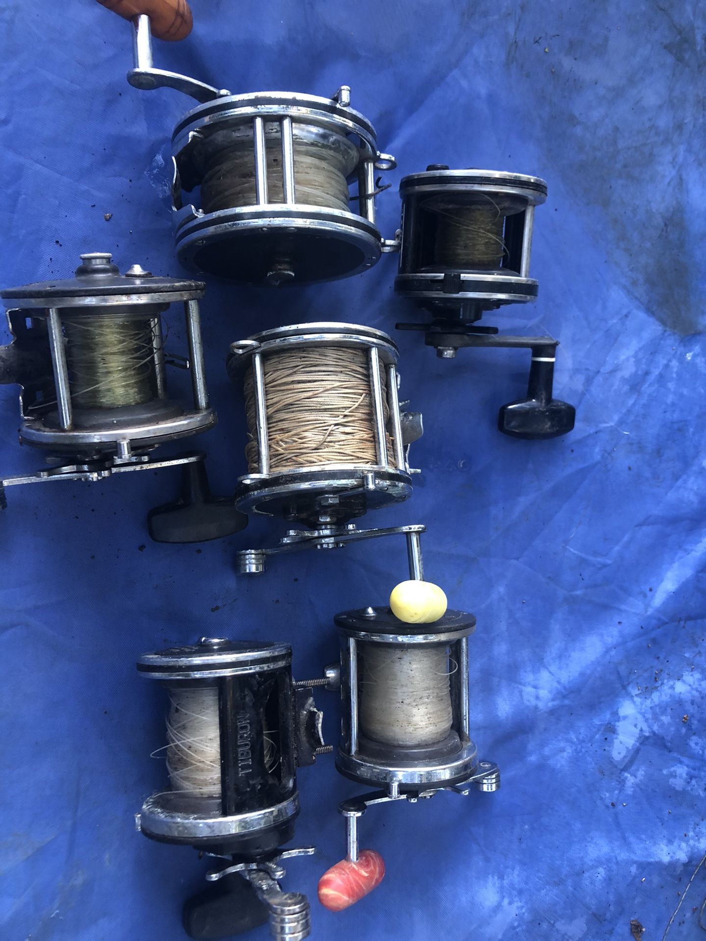Fishing Reels