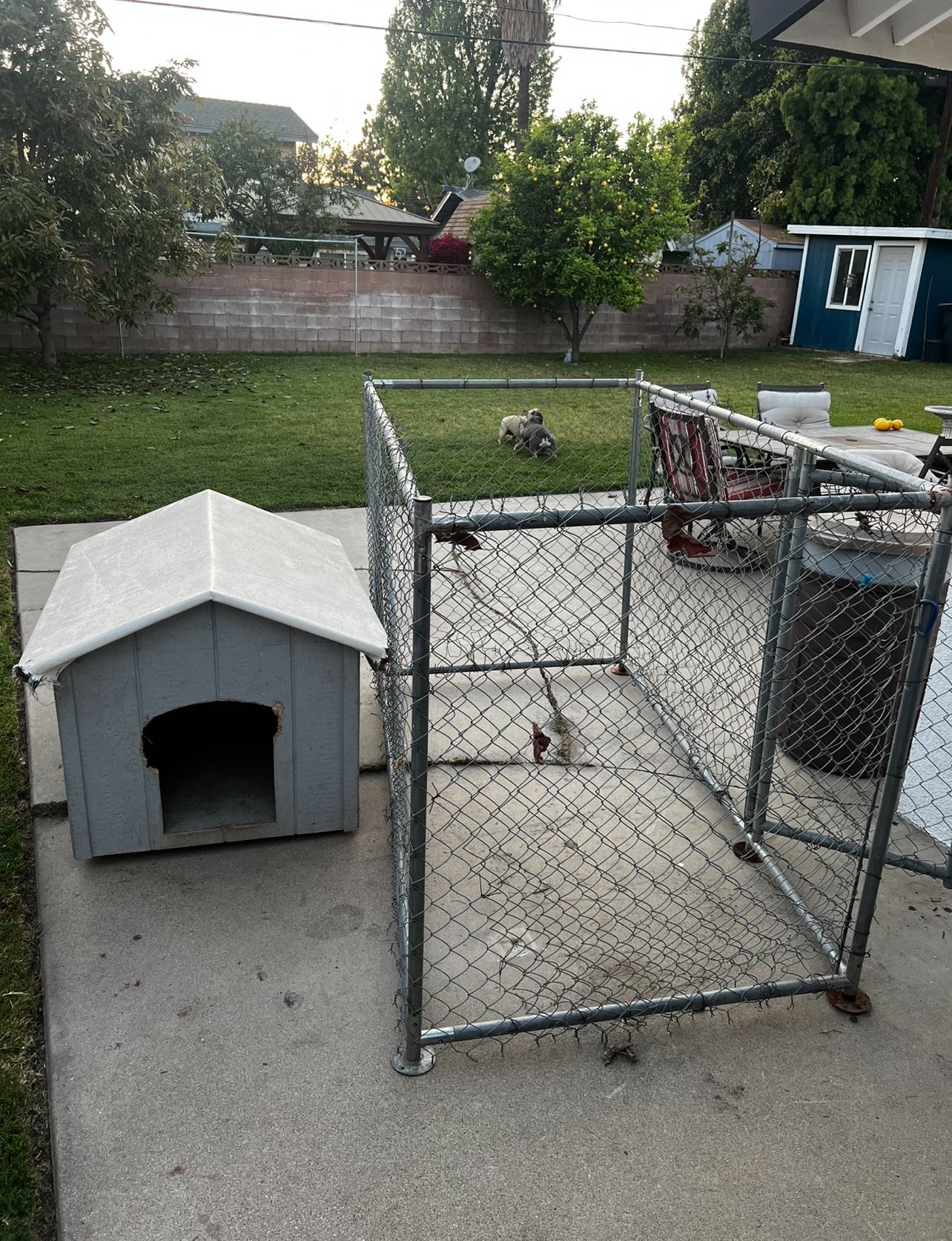 Dog Kennel Dog House