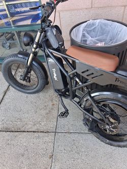 Freedom electric bike