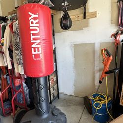 Century Punching Bag & Speed Bag w/ Pro Swivel Installed 