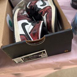 Toddler Nike  Dunks