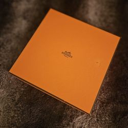 Hermes Silk Scarf (Brand New!)