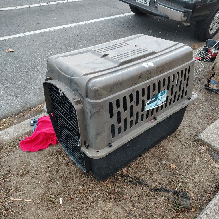 Dog Kennel