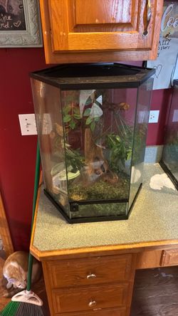 Large reptile terrarium tank