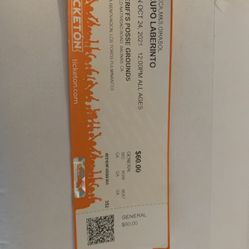 Vendo Boleto Para Laberinto 