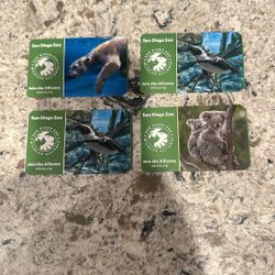 San Diego Zoo Half Off Tickets 