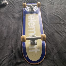 element skate board