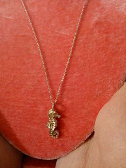Silver sea house  925nice silver necklace