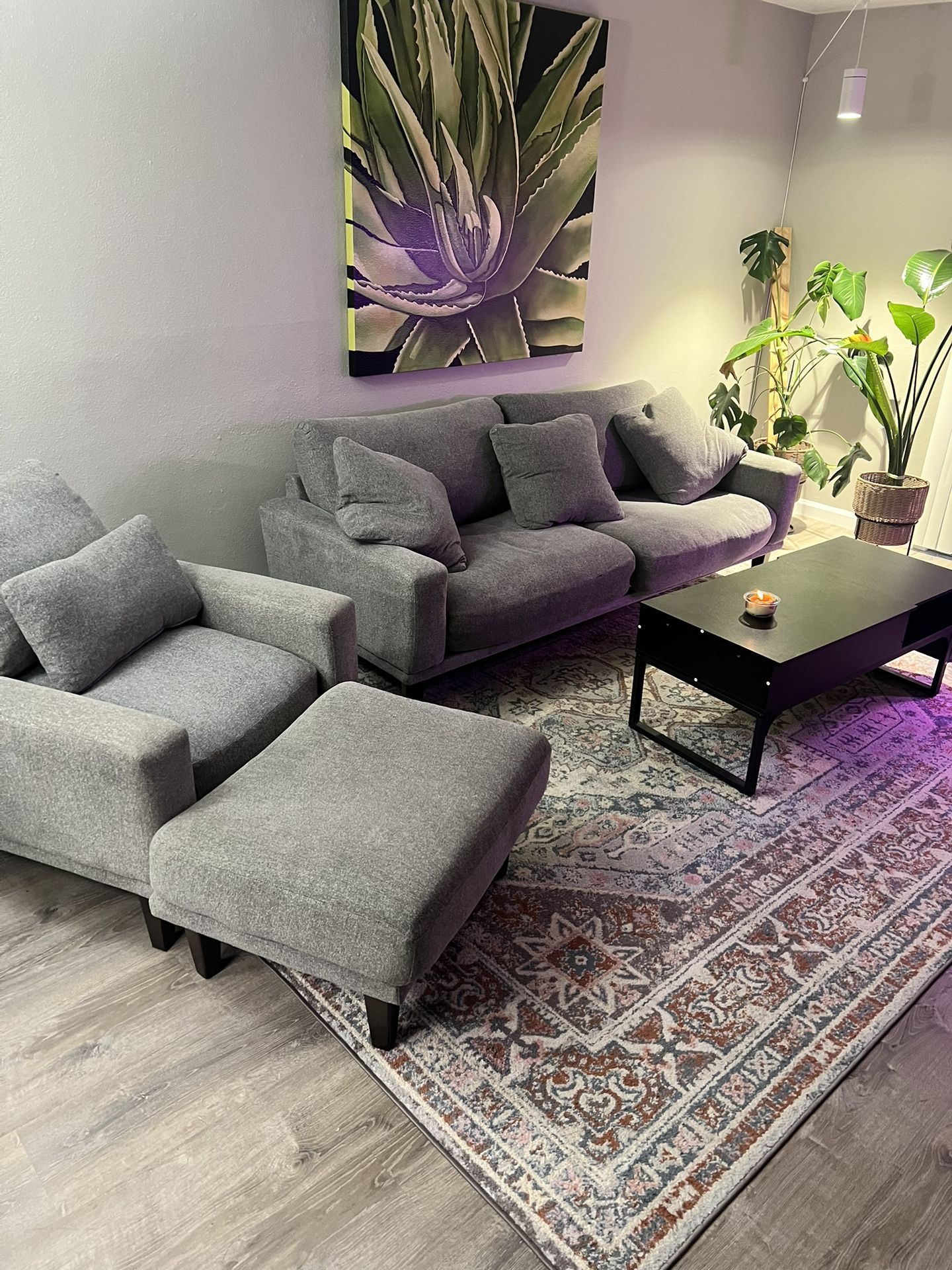Couches / Rug / Table