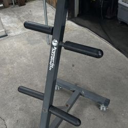 Portable Weight Tree