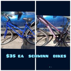 Schwinn Bikes