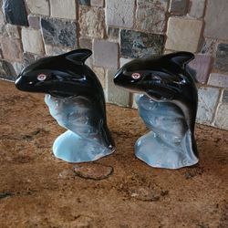 Dolphins 