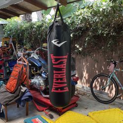 Everlast 100lb Bag