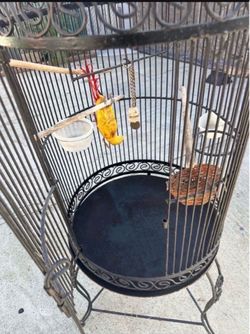 Large Round Metal Bird Cage