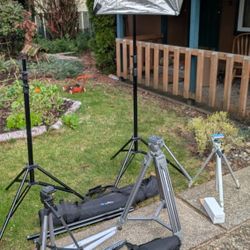 Photography Lot: Tripods, Light Stands, Light 