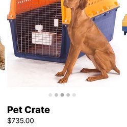 Giant Heavy Duty Pet Crate - Pet Express PP90