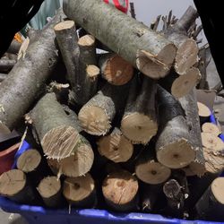 Organic Apple Wood- All Cut & "Air- Drying"!