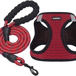 M Dog Harness With Leash