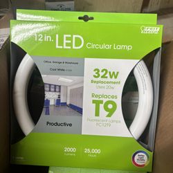 Felt Electric LED Bulbs