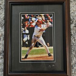Darin Erstad Framed Photo Anaheim Angels MLB #17 