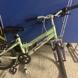 20” girls bike