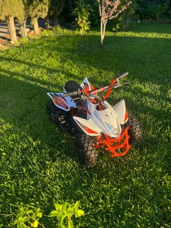 Go-Bowen Titan 350W 24V Kids ATV Mini Quad