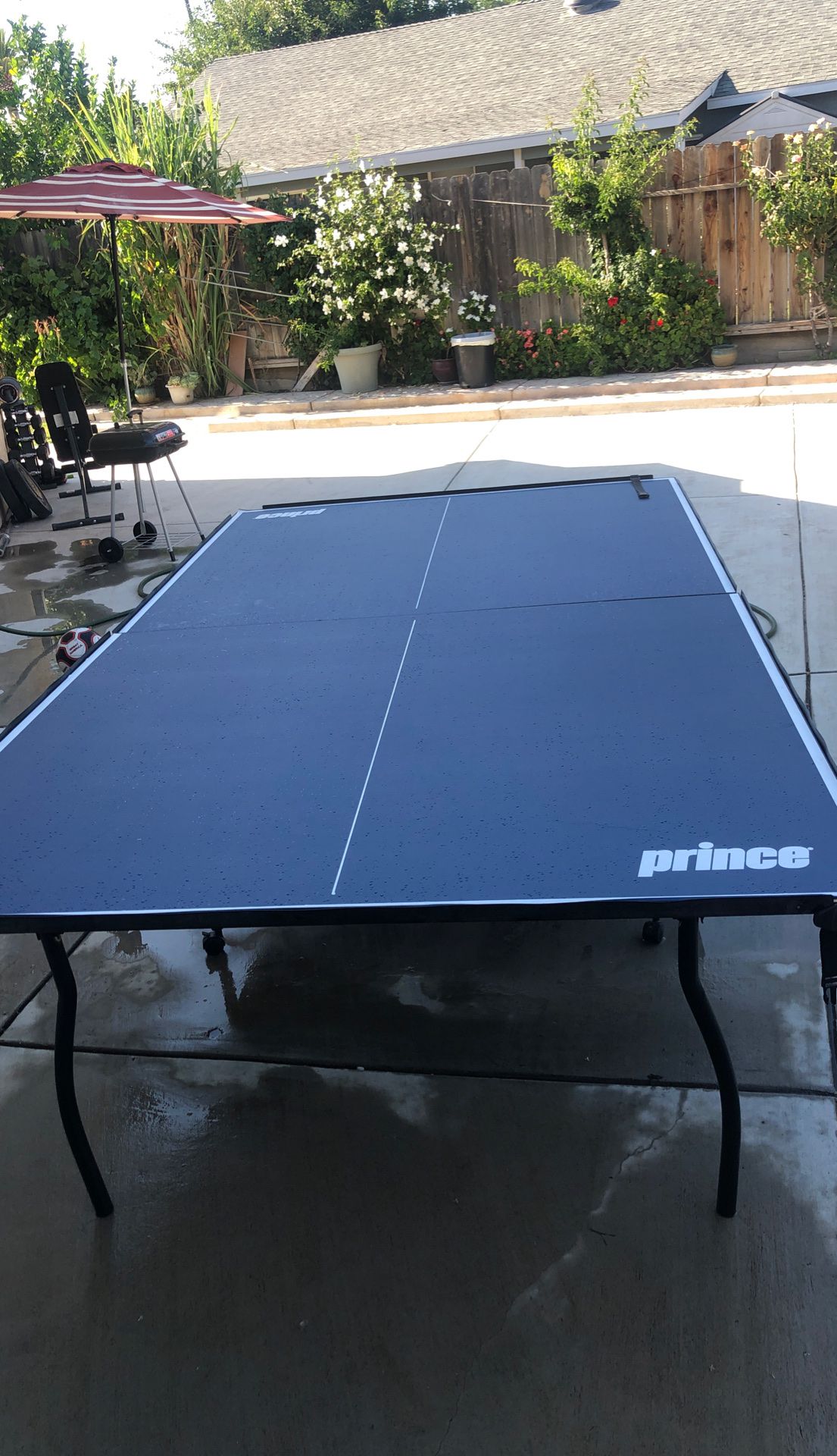 Table Tennis Olympic Size
