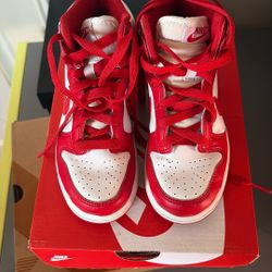 Nike Dunk Kids 