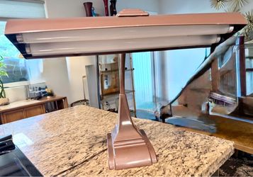 VTG 1950s Flex Goose Neck Industrial Desk Lamp MCM Art Deco