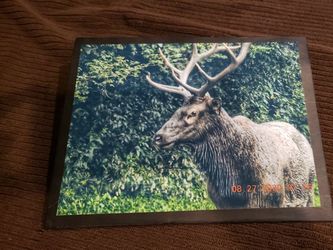 9x12 Wood Panel Taken Myself In Smoky Mountain National Park Ready To Hang One Of A Kind