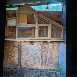 Small Chicken Coop 