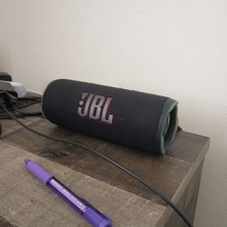 JBL Flip 6 