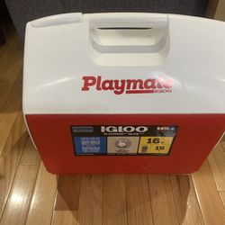 16qt Igloo Cooler