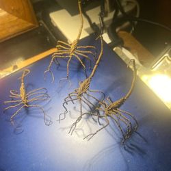Scorpions Hand Made