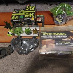 Bearded Dragon Accessories 