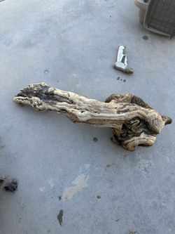 Wood For Reptiles